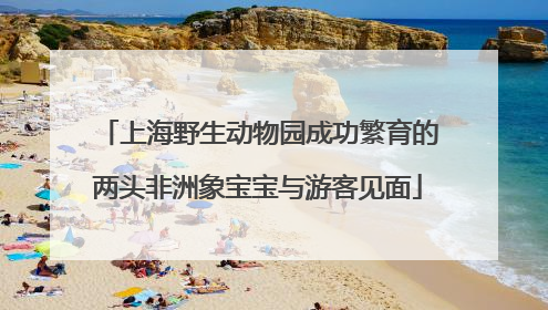 上海野生动物园成功繁育的两头非洲象宝宝与游客见面