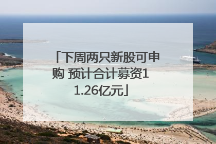 下周两只新股可申购 预计合计募资11.26亿元