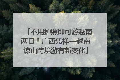 不用护照即可游越南两日！广西凭祥—越南谅山跨境游有新变化