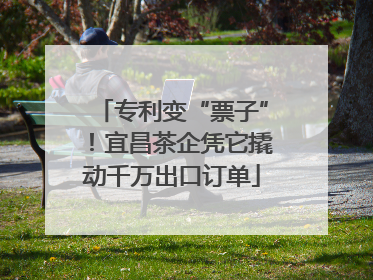 专利变“票子”！宜昌茶企凭它撬动千万出口订单