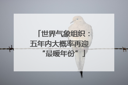 世界气象组织：五年内大概率再迎“最暖年份”