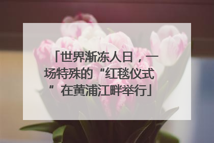 世界渐冻人日，一场特殊的“红毯仪式”在黄浦江畔举行