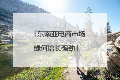 东南亚电商市场缘何增长强劲