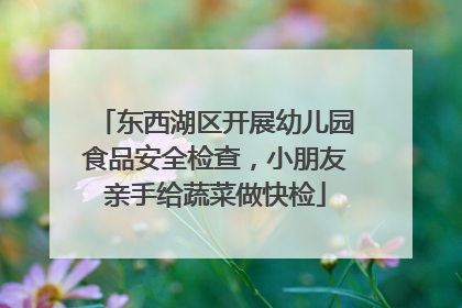 东西湖区开展幼儿园食品安全检查，小朋友亲手给蔬菜做快检