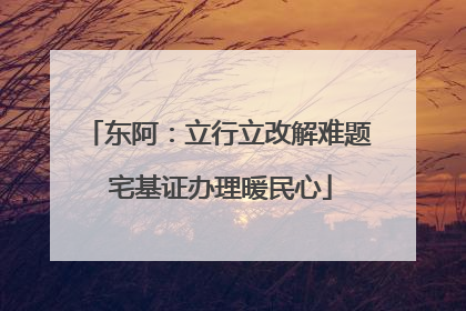 东阿：立行立改解难题 宅基证办理暖民心