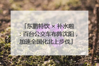 东鹏特饮 × 补水啦：百台公交车布阵沈阳，加速全国化北上步伐