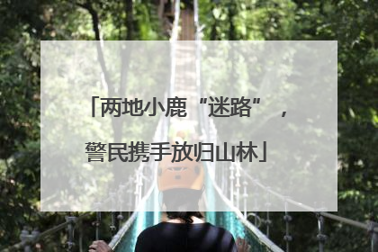 两地小鹿“迷路”，警民携手放归山林
