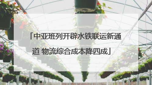 中亚班列开辟水铁联运新通道 物流综合成本降四成