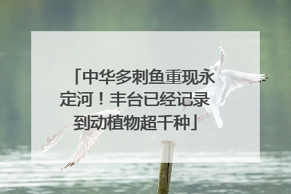 中华多刺鱼重现永定河！丰台已经记录到动植物超千种