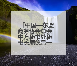 中国—东盟商务协会总会中方秘书处秘书长鹿德晶一行赴滨实地考察对接合作