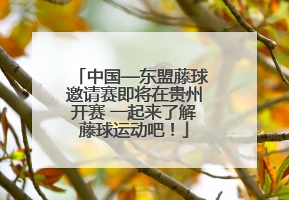 中国—东盟藤球邀请赛即将在贵州开赛 一起来了解藤球运动吧！