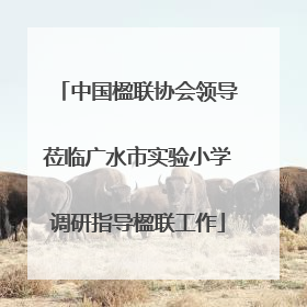 中国楹联协会领导莅临广水市实验小学调研指导楹联工作