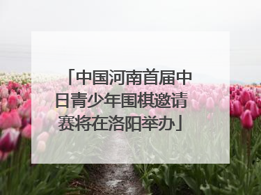 中国河南首届中日青少年围棋邀请赛将在洛阳举办