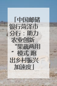 中国邮储银行菏泽市分行：助力农业创新 “果蔬两用”模式 跑出乡村振兴加速度
