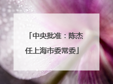 中央批准：陈杰任上海市委常委