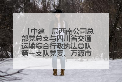 中建一局西南公司总部党总支与四川省交通运输综合行政执法总队第三支队党委、万源市草坝镇莲花院村党支部开展党建联建