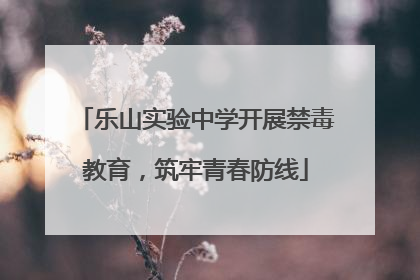 乐山实验中学开展禁毒教育，筑牢青春防线