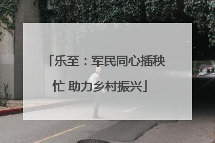 乐至：军民同心插秧忙 助力乡村振兴