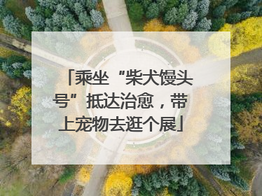 乘坐“柴犬馒头号”抵达治愈，带上宠物去逛个展