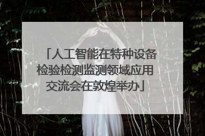 人工智能在特种设备检验检测监测领域应用交流会在敦煌举办