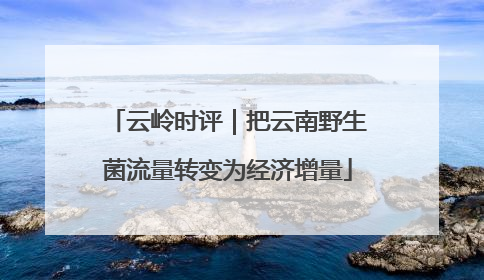 云岭时评｜把云南野生菌流量转变为经济增量