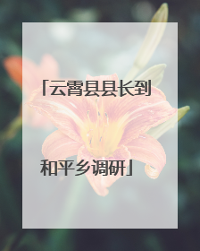 云霄县县长到和平乡调研
