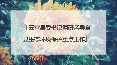 云霄县委书记调研督导全县生态环境保护重点工作