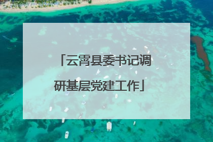 云霄县委书记调研基层党建工作