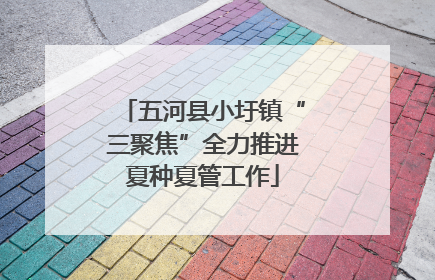 五河县小圩镇“三聚焦”全力推进夏种夏管工作