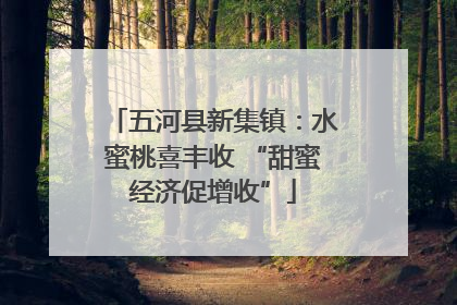 五河县新集镇：水蜜桃喜丰收 “甜蜜经济促增收”
