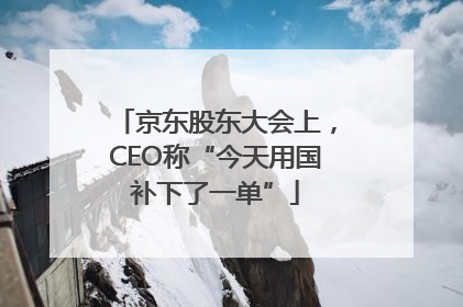 京东股东大会上，CEO称“今天用国补下了一单”