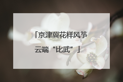京津冀花样风筝云端“比武”
