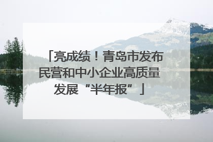 亮成绩！青岛市发布民营和中小企业高质量发展“半年报”