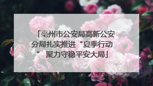 亳州市公安局高新公安分局扎实推进“夏季行动” 聚力守稳平安大局
