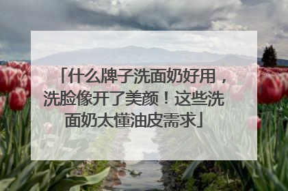 什么牌子洗面奶好用，洗脸像开了美颜！这些洗面奶太懂油皮需求