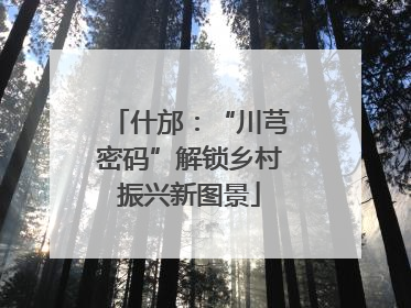 什邡：“川芎密码”解锁乡村振兴新图景