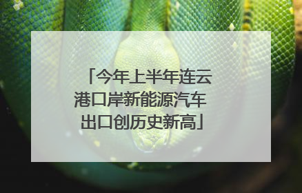 今年上半年连云港口岸新能源汽车出口创历史新高