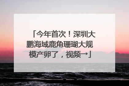 今年首次！深圳大鹏海域鹿角珊瑚大规模产卵了，视频→