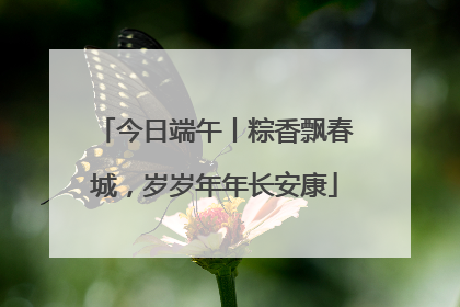 今日端午丨粽香飘春城，岁岁年年长安康