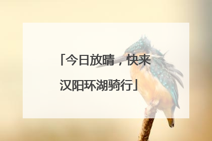 今日放晴，快来汉阳环湖骑行