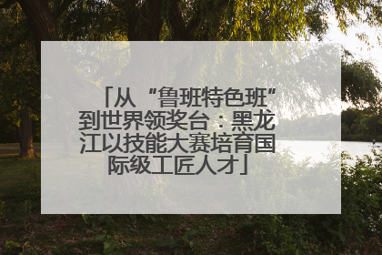 从“鲁班特色班”到世界领奖台：黑龙江以技能大赛培育国际级工匠人才