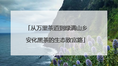 从万里茶道到绿满山乡 安化黑茶的生态致富路