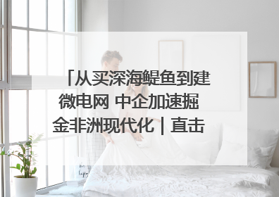 从买深海鳀鱼到建微电网 中企加速掘金非洲现代化｜直击中非经贸博览会