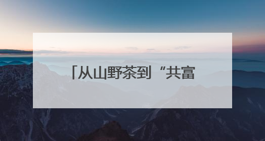 从山野茶到“共富芽” 浙江荒野茶的点“叶”成金路