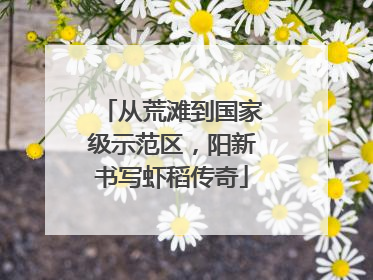 从荒滩到国家级示范区，阳新书写虾稻传奇
