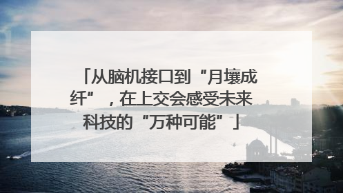 从脑机接口到“月壤成纤”，在上交会感受未来科技的“万种可能”