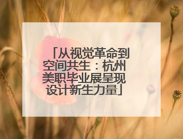 从视觉革命到空间共生：杭州美职毕业展呈现设计新生力量