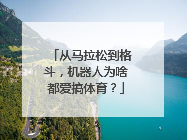 从马拉松到格斗，机器人为啥都爱搞体育？