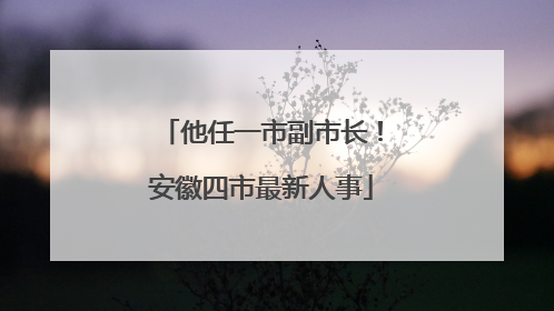 他任一市副市长！安徽四市最新人事
