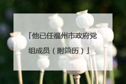 他已任福州市政府党组成员（附简历）